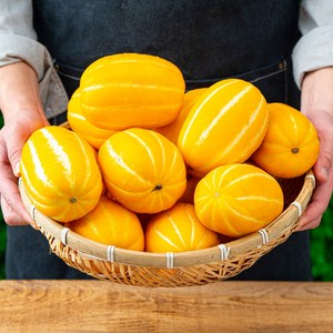 성주 고당도 로얄과 꿀참외, 1개, 가정용, 4kg