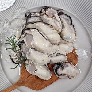 바다애 생굴 모음 1키로소포장/햇생굴/최상품생굴/깐굴, 1kgram