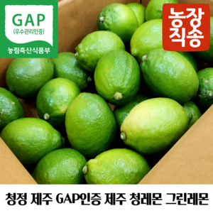 제주 GAP인증 제주레몬생과 제주그린레몬 제주청레몬 제주도산레몬 국산제주레몬 제주산생레몬 제주레몬생과 제주도친환경레몬 제주레몬gap 제주햇레몬 제주왕레몬 제주노란레몬, 1개, 제주레몬 3kg