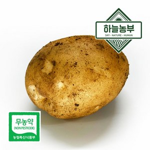 하늘농부 친환경 포슬포슬 감자 1kg, 1개, 감자 1kg (대 150g이상)