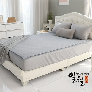 [25년형] 일월 원적외선 친환경 텐셀에코 탄소 카본매트, 싱글+더블