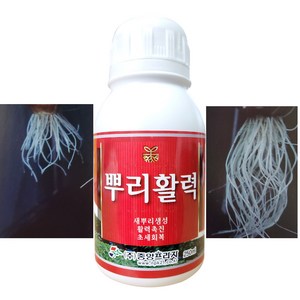 뿌리 활력제 빠른 활착 발육 촉진제 발근제 영양제 농작물 수세회복 저온 장마 연작 거름 텃밭 주말농장 과수 배추 마늘 모종 침지 삽목 고추 요소 복합비료 액비 +계량컵 식물푯말세트, 1개
