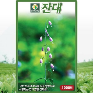 다농 잔대 씨앗 1g 잔대씨 사삼 딱주 약초 종자, 1개