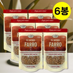 그레인온 파로 엠머 밀, 280g, 6개