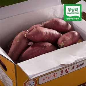 나나팜 단호밤 호밤 무농약 꿀 밤 고구마 5kg (한입), 1개