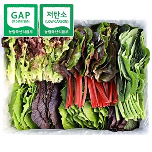 [청년프레쉬] 충북 충주 GAP 모듬 쌈채소 샐러드야채 600g 1kg 로메인 케일 양상추 치커리 적근대 적겨자, 모듬 샐러드 1kg, 1개