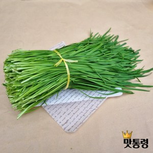 [맛통령] 국내산 싱싱한 부추, 1kg, 1개