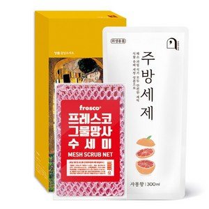 오늘의쉼표 세제 선물세트 답례품 자몽 5호 (주방세제 + 수세미), 1세트