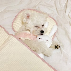 개달당 댕나잇 누빔 반달 일체형 강아지 고양이 베개, 머스터드