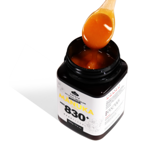 와일드네이처 마누카꿀 MGO830+ UMF20+ 동일수치, 1개, 500g