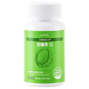 순수한건강 양배추 정 숙취해소 국내산 위에좋은 환 유기농 분말 99% 35 640mg 60정, 1개