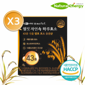 웰핏 자연속 하루효소 43종 곡물 발효 효소 유산균 3g 발효효소전문가