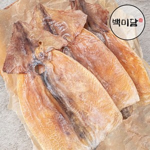 몸통오징어 230g 마른오징어 건오징어 (소), 1세트, 10미