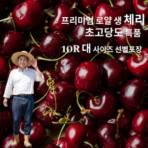 [항공 직수입] 칠레산 로얄 생 체리 고당도 프리미엄 특품 선별포장, 1개, 500g