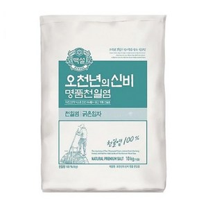 백설 오천년의 신비 명품천일염, 10kg, 1개