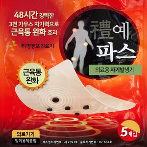 의료용 자석파스 50매(5매x10팩) 대형파스 국내생산 의료긱허가 근육통 통증완화, 2세트, 50매입