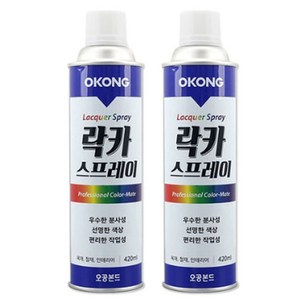 사자야 DIY 그래피티 도색 도장 스프레이페인트 1+1 락카, 4.무광흑색, 2개, 420ml