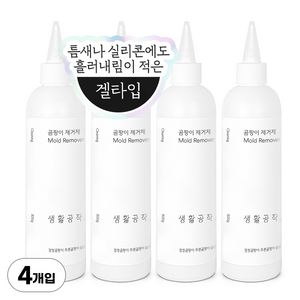 생활공작소 곰팡이제거제, 300ml, 4개입