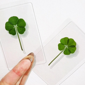 행운 네잎클로버 봉투포함 운수대통 다섯잎 응원 소원 합격 코팅 세트, 더블클로버(3입+4입), 50개