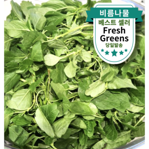 [산지직송] 국산 생 비름나물 신선한 봄나물 비듬나물, 1박스, 1kg