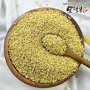 힘찬농부오달봉 국산 찰기장 기장쌀, 1개, 1kg