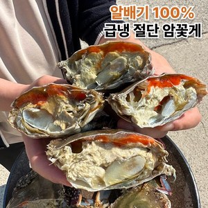 푸름상회 국내산 연평도 특품 급냉 100% 알배기 절단 암꽃게, 1세트, 1KG (3-5미)