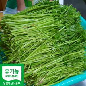 산지직송 국내산 유기농 세척 미나리, 1kg, 1개