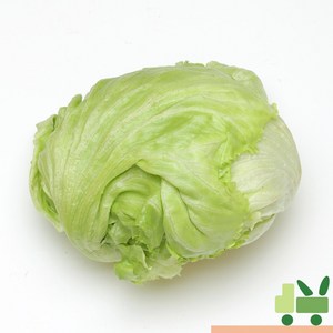 사라상회 양상추 (3봉) 1.5kg, 3개