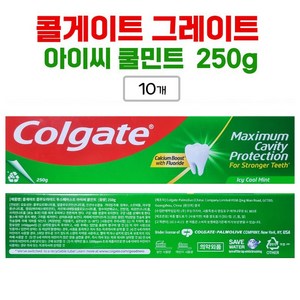 콜게이트 아이씨 쿨민트 치약, 250g, 10개