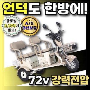 실버드 72V 노인 전동차 캐노피 삼륜 바이크 전동 스쿠터 카트 전기차 노인용 어르신, 1개, 1000W모터 + 72V + 20Ah배터리