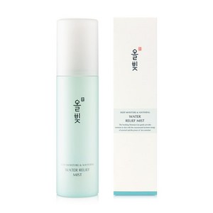 올빚 수담 미스트 100ml, 1개