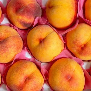 [명인농가] 고당도 말랑이 황도복숭아 물복 털복숭아, 1개, 500g