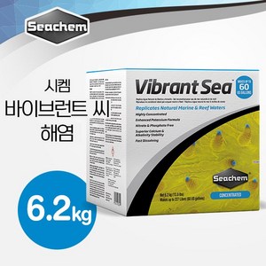 시켐 바이브런트 씨 해염 (Vibrant Sea) 6.2kg, 1개