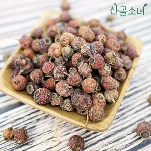 산골소녀 국내산 산사 산사나무 산사열매, 600g, 1개