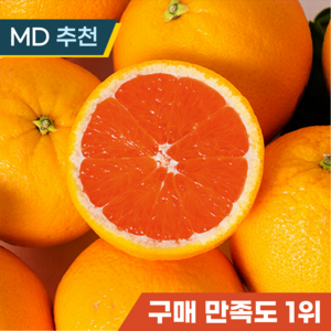 카라카라 오렌지 고당도 프리미엄 oange, 1박스, 중과 10과수