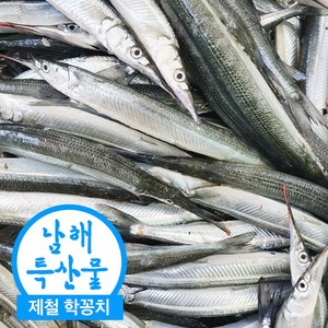 국산 제철 삼천포 학꽁치 회 술안주 막회 회무침 횟감 손질학꽁치 500g, 2개