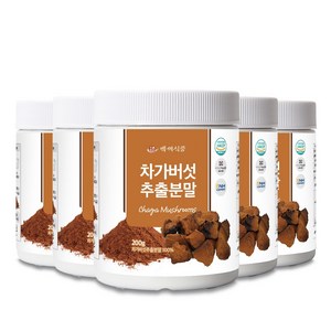 차가버섯추출분말 200g HACCP 인증제품, 5개