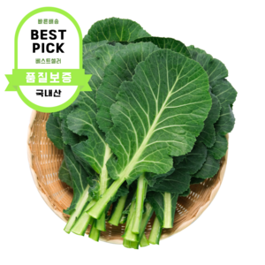 유기농 케일 500g 1kg 국내산 산지직송 녹즙재료 주스용 케일 즙용 Kale, 1개