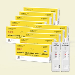 래피젠 본사 배송 COVID-19 코로나 항원 자가검사 진단키트, 2개입, 10개