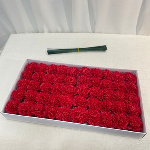 블랙앤화이트 비누꽃 카네이션 50p + 일반꽃대, 빨강