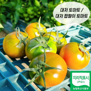 [대저농협인증] 대저 짭잘이 토마토 2.5kg 오직 로얄과, 대저 토마토 중과 M, 1개