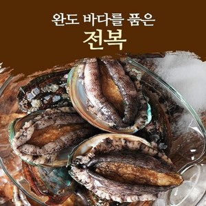 수협 왕특대 완도 활 전복 100g이상10마리, 1