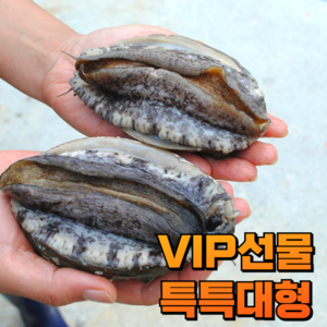 최상급 프리미엄 특특대형 완도 전복 VIP 선물용 선물세트, 1세트, 2kg(12~14미)