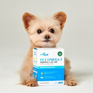 웰찹 식물성 강아지 고양이 펫 오메가3 트리플 알티지 500 어취제로 알러지프리 30ea, 1박스