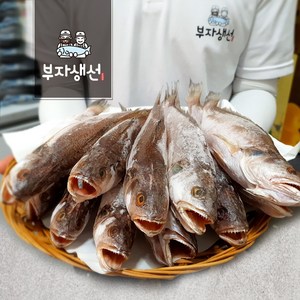 반건조 민어 조기 세트 반찬용 (부자생선), 민어조기27cm 10마리, 1세트