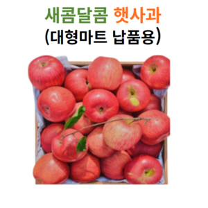 [재구매율1위] 고당도 산지직송 청송사과, 1박스, 2kg