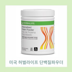 허벌라이프 미국 쉐이크 프로틴 퍼스널 단백질 파우더, 360g, 1개