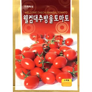 대추 방울 토마토 씨앗 대추형 토마토 종자 씨 30알, 1개