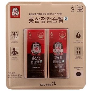 정관장 홍삼정캡슐 현 500mg x 100캡슐 면역력 코스트코