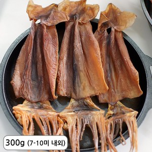 삼천포 건조 쫄쫄이 오징어 마른오징어 5-10미 내외, 1개, 300g